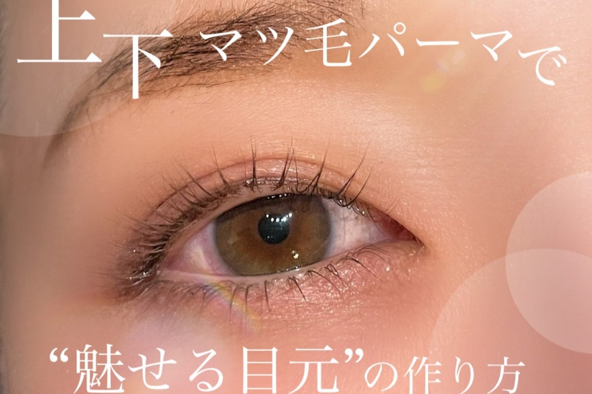 プラチナムドール 桂店(PLATINUMDOLL)5