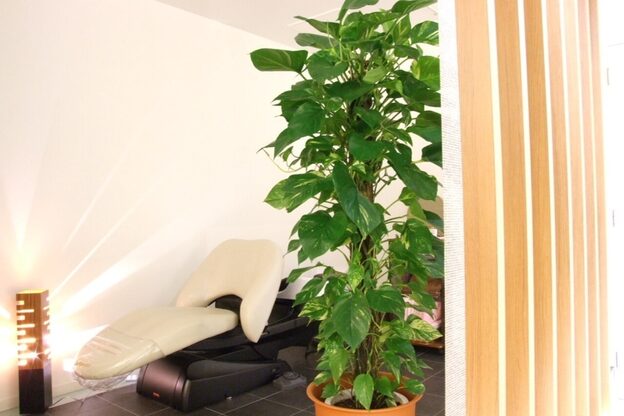 イマージュ アヴェダ 八王子店(Image AVEDA)7