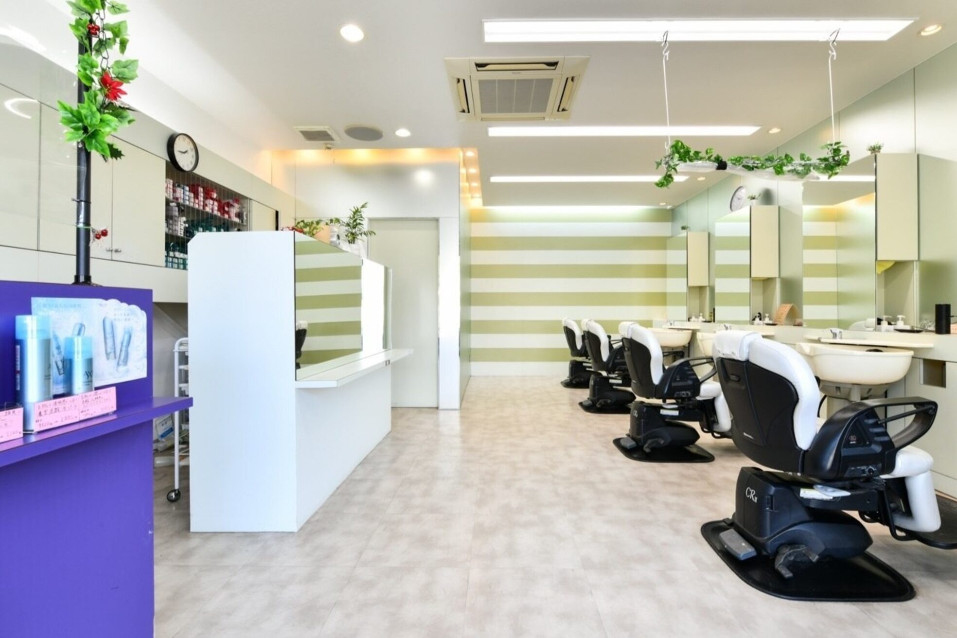 ピクニック(PICNIC)1