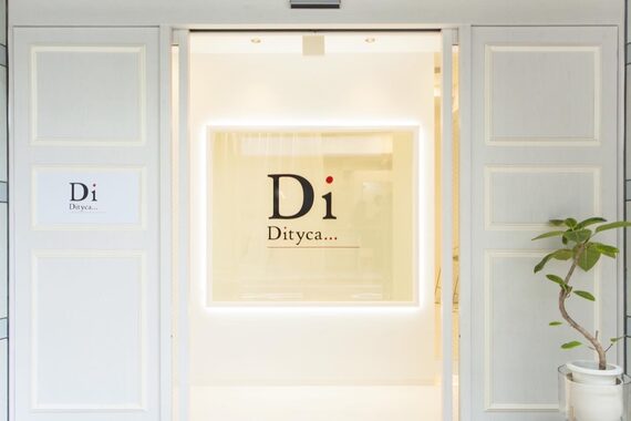 ディティカ リフィ(Dityca rify)