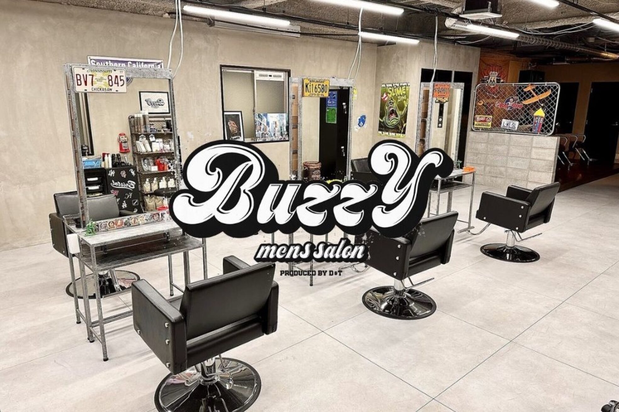 バジー バイ ディーアンドティー(Buzzy by D&T)2