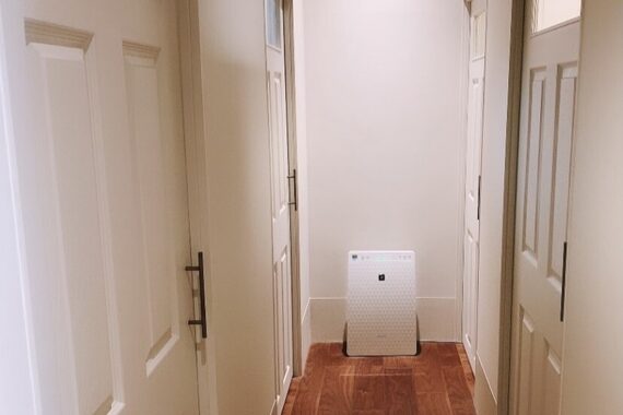 ガーランド ルピナス(garland lupinus)