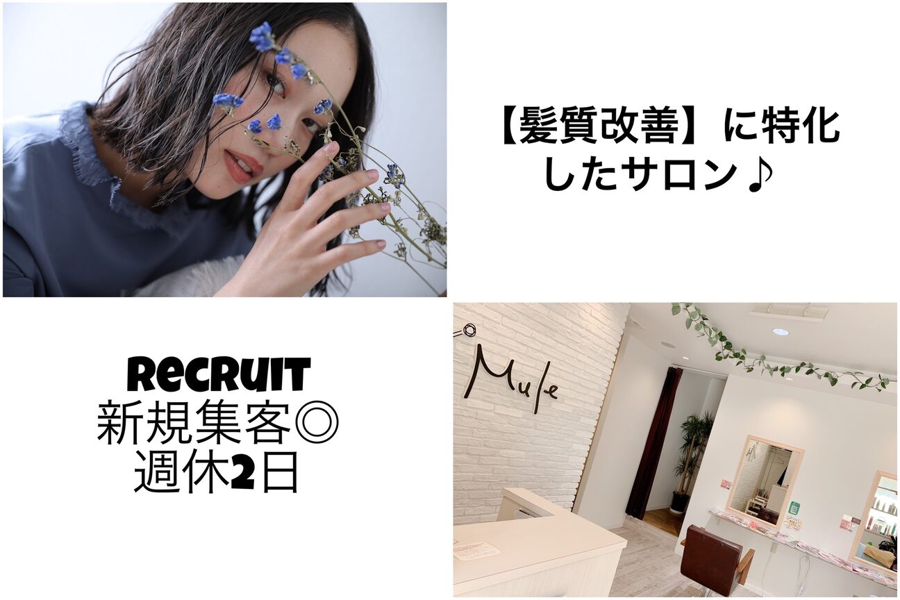 Mule（Ｍｕｌｅ）画像1