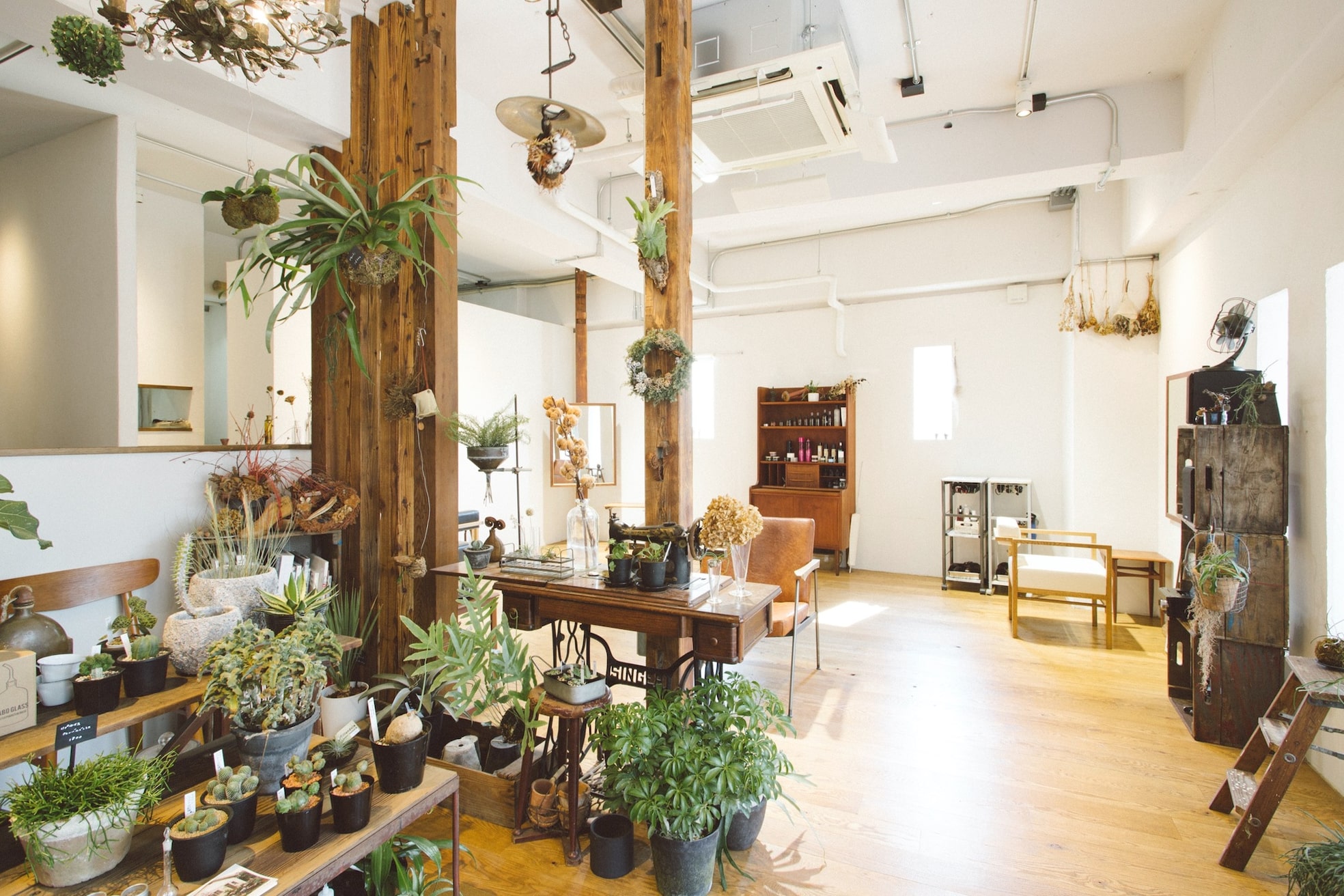 ボタニカ(Botanica)3