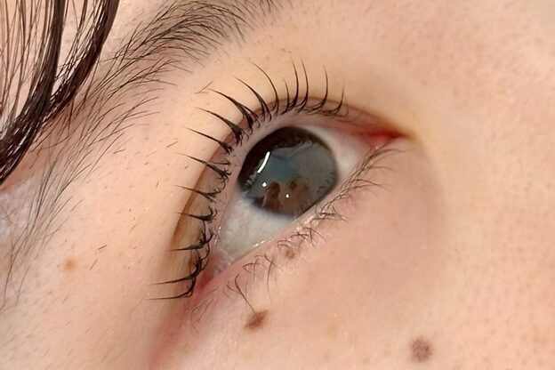 ワンネス(One'Ness)11