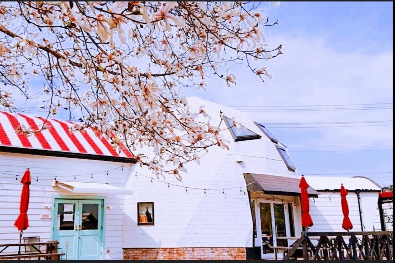 marichi circus（マリーチサーカス）美容室　cafe併設店（株式会社　ｍａｒｉｃｈｉ）画像1