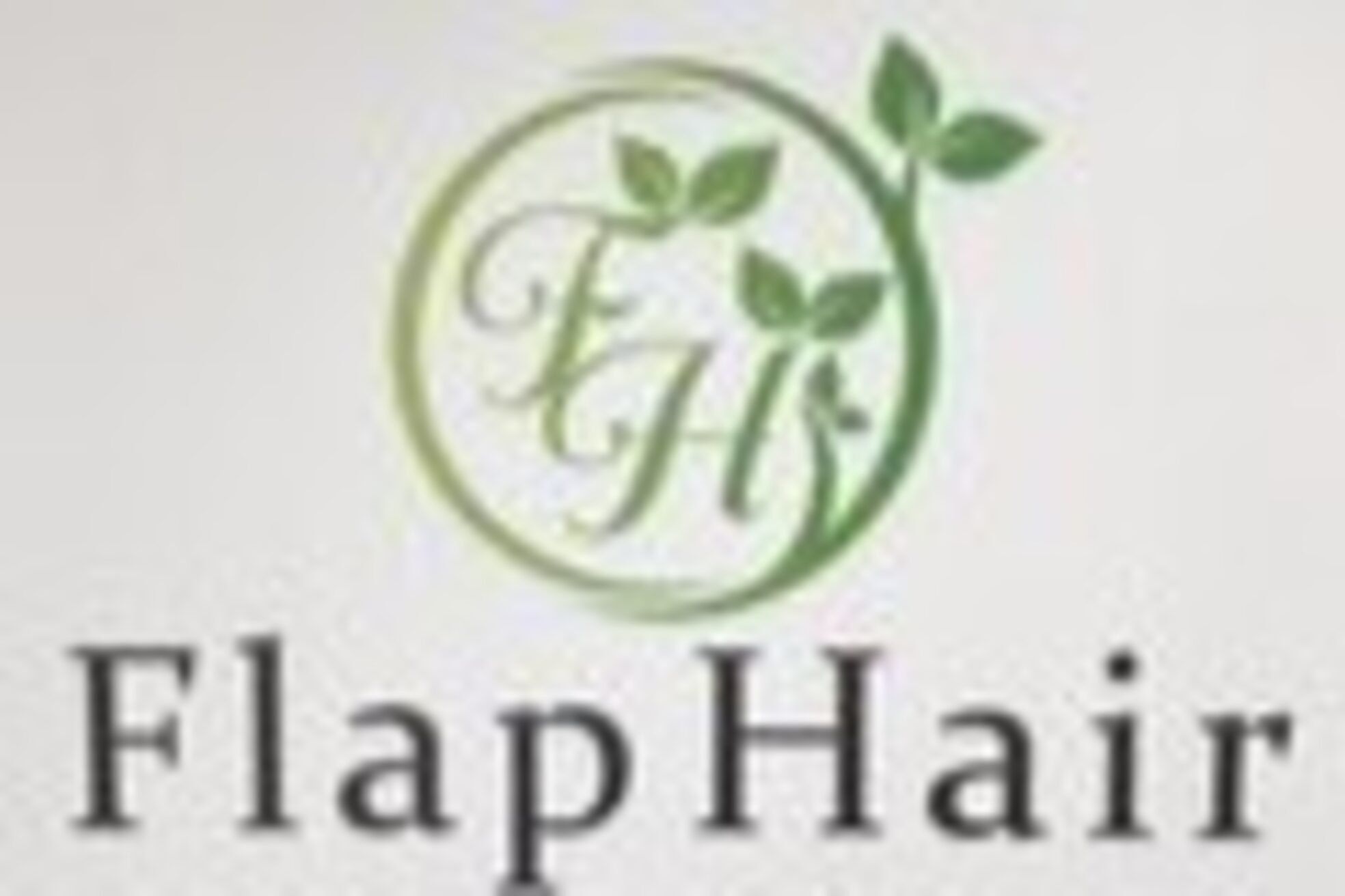 フラップ(Flap)1