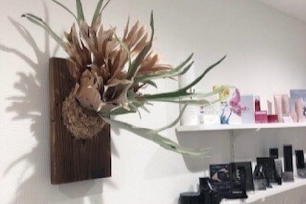 ポーラ 八戸ゆりの木通り(POLA)1