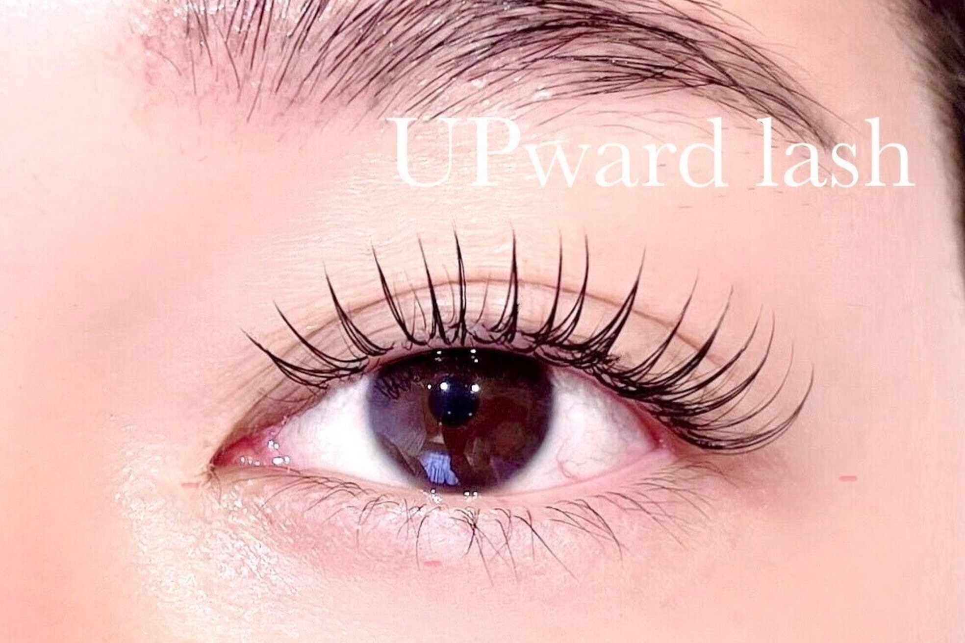 アイブロウ アンド アイラッシュ アイランド(ISLAND)4