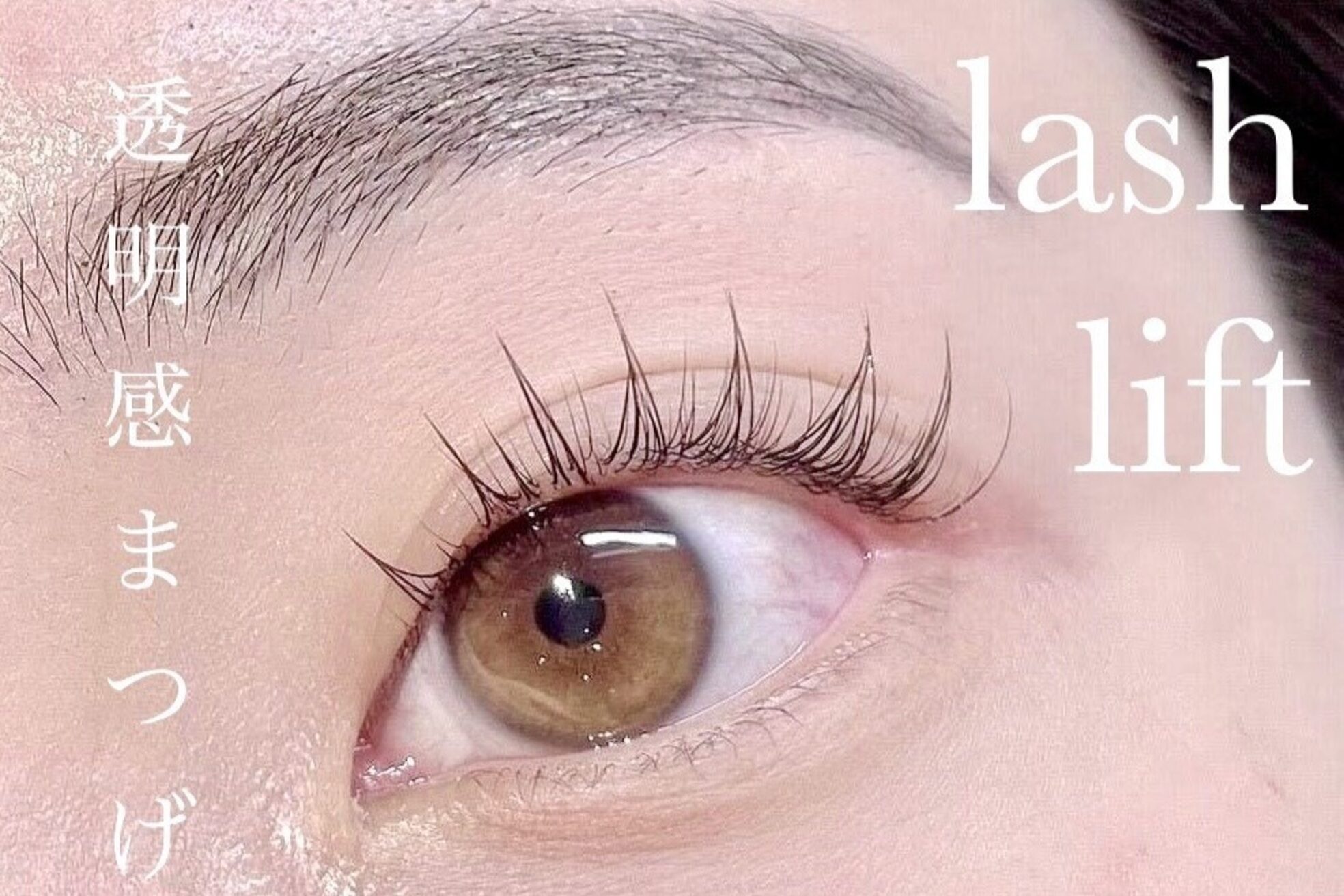 アイランド トーキョー(ISLAND TOKYO)3