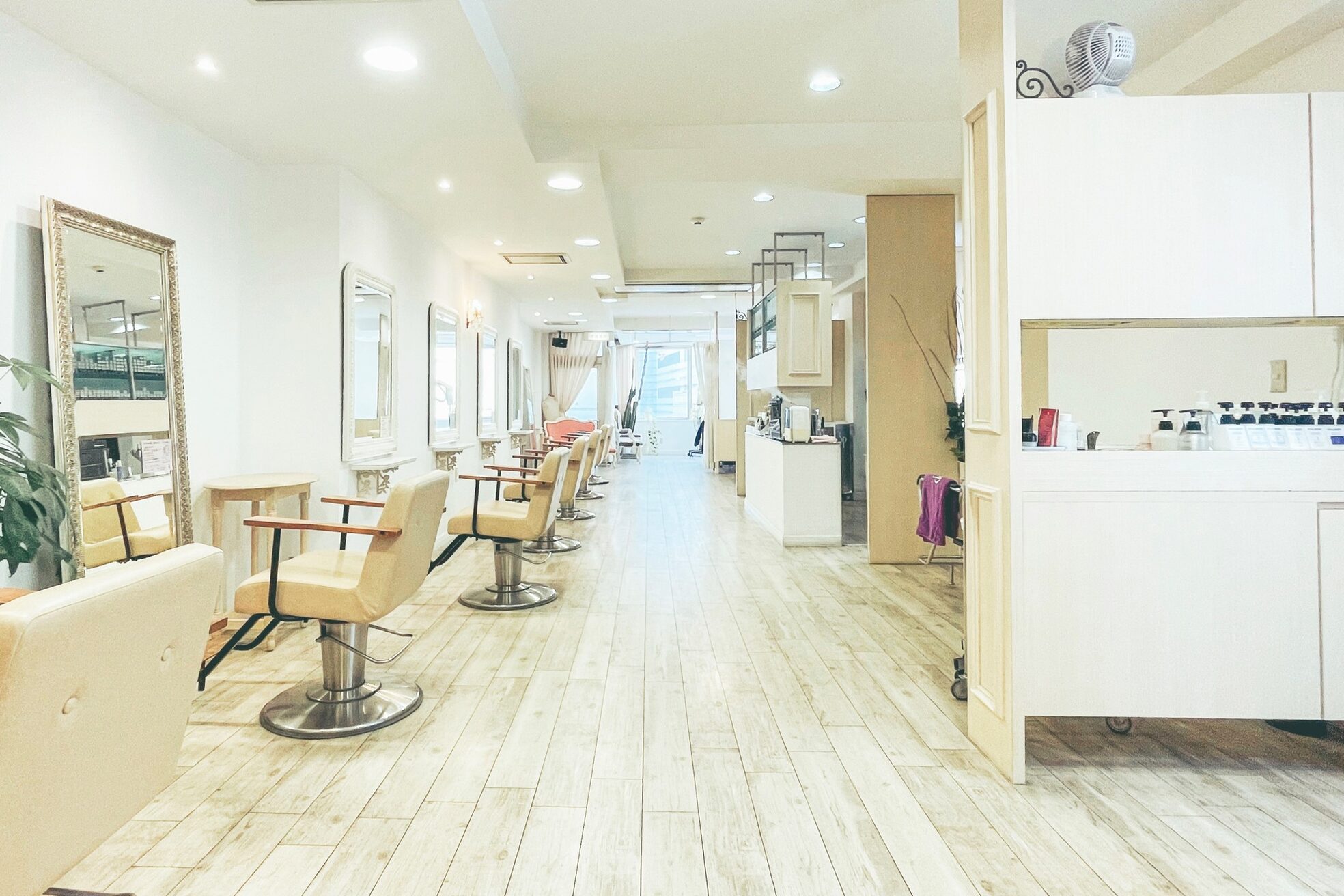 バジルプープラ(basil pupula)2