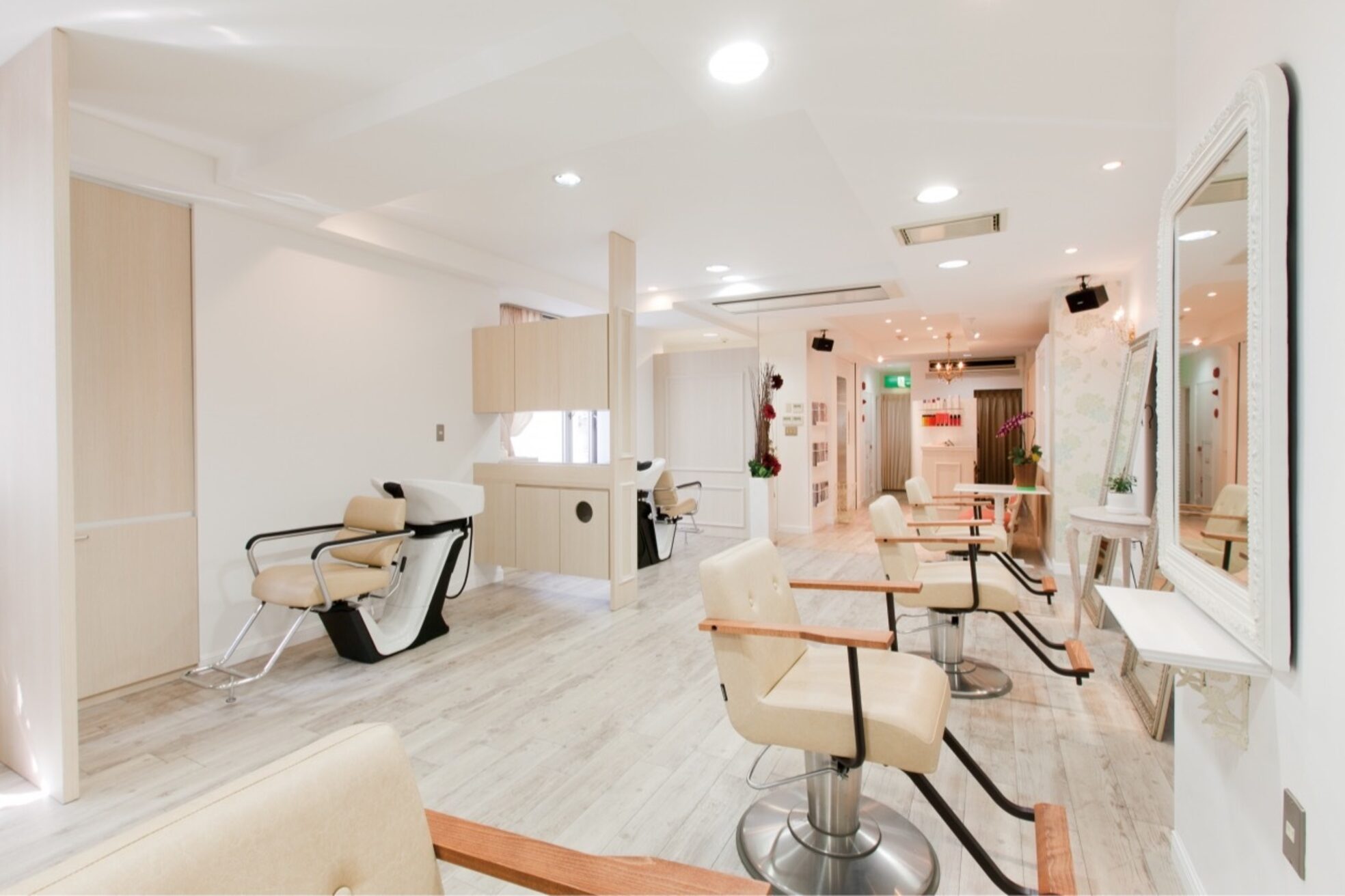 バジルプープラ(basil pupula)3