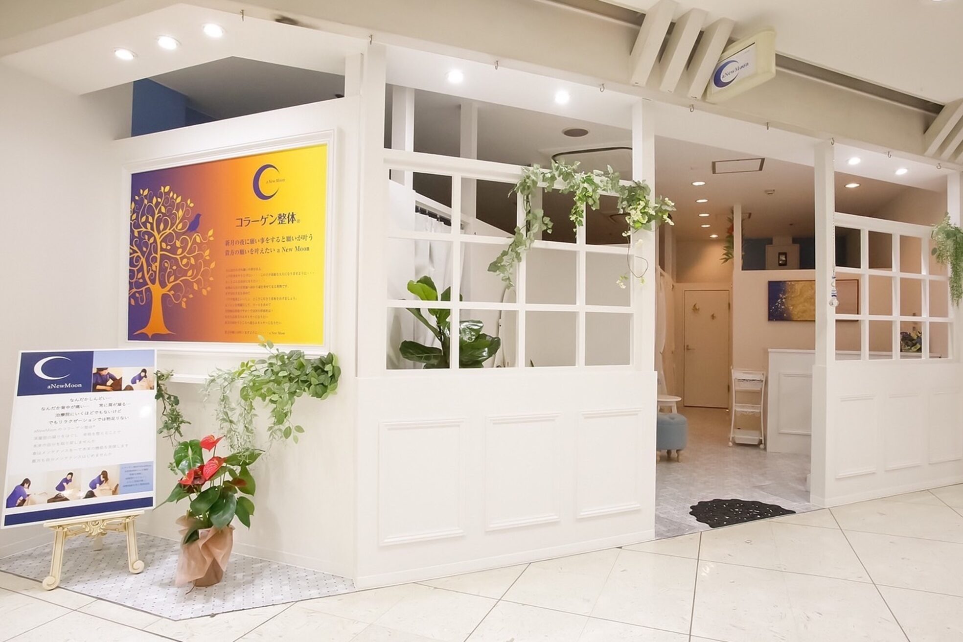 アニュームーン セルバ甲南山手店(a new moon)1