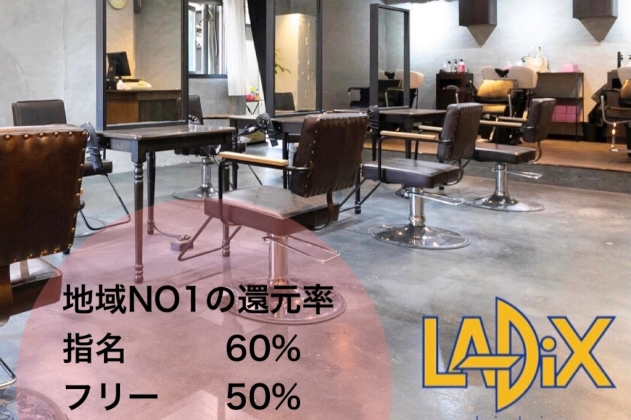 ラディックス(LADiX)1