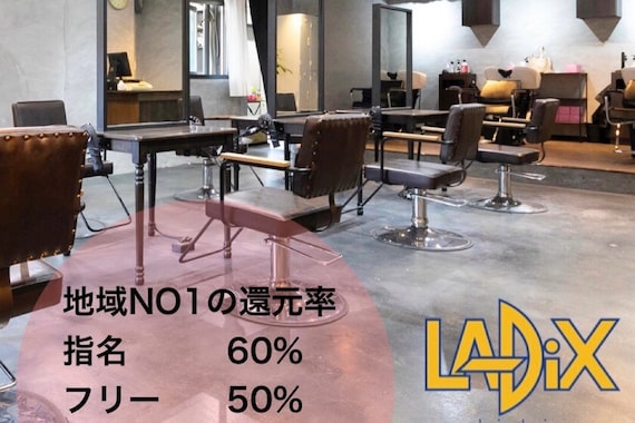 ラディックス(LADiX)