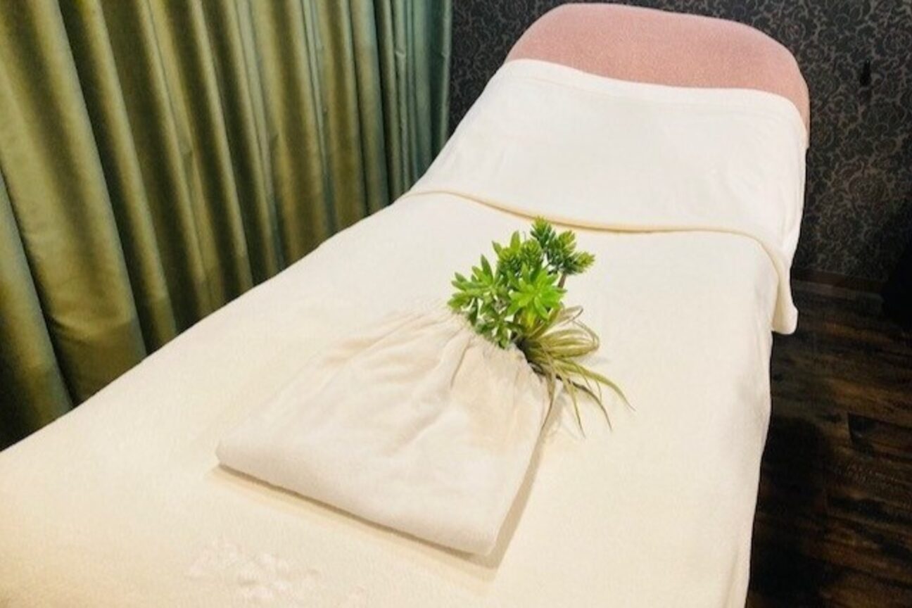 ポーラ（ＰＯＬＡ　ｌｉｅｎ　ｓｏｌｉｄｅ）画像1