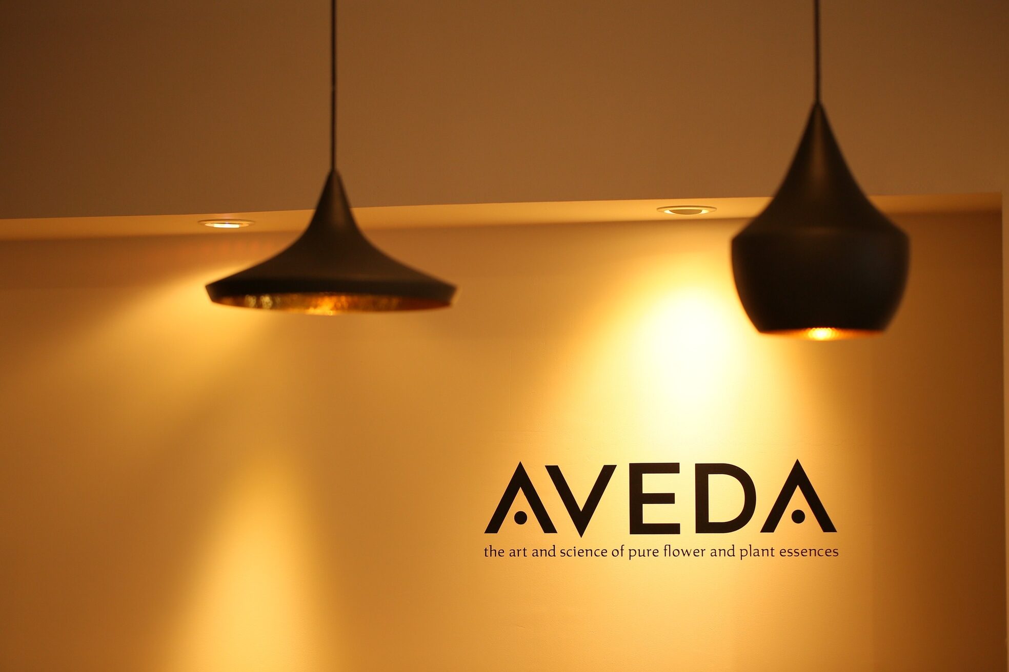 ブローチェアヴェダ1