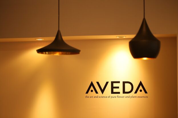 ブローチェアヴェダ1