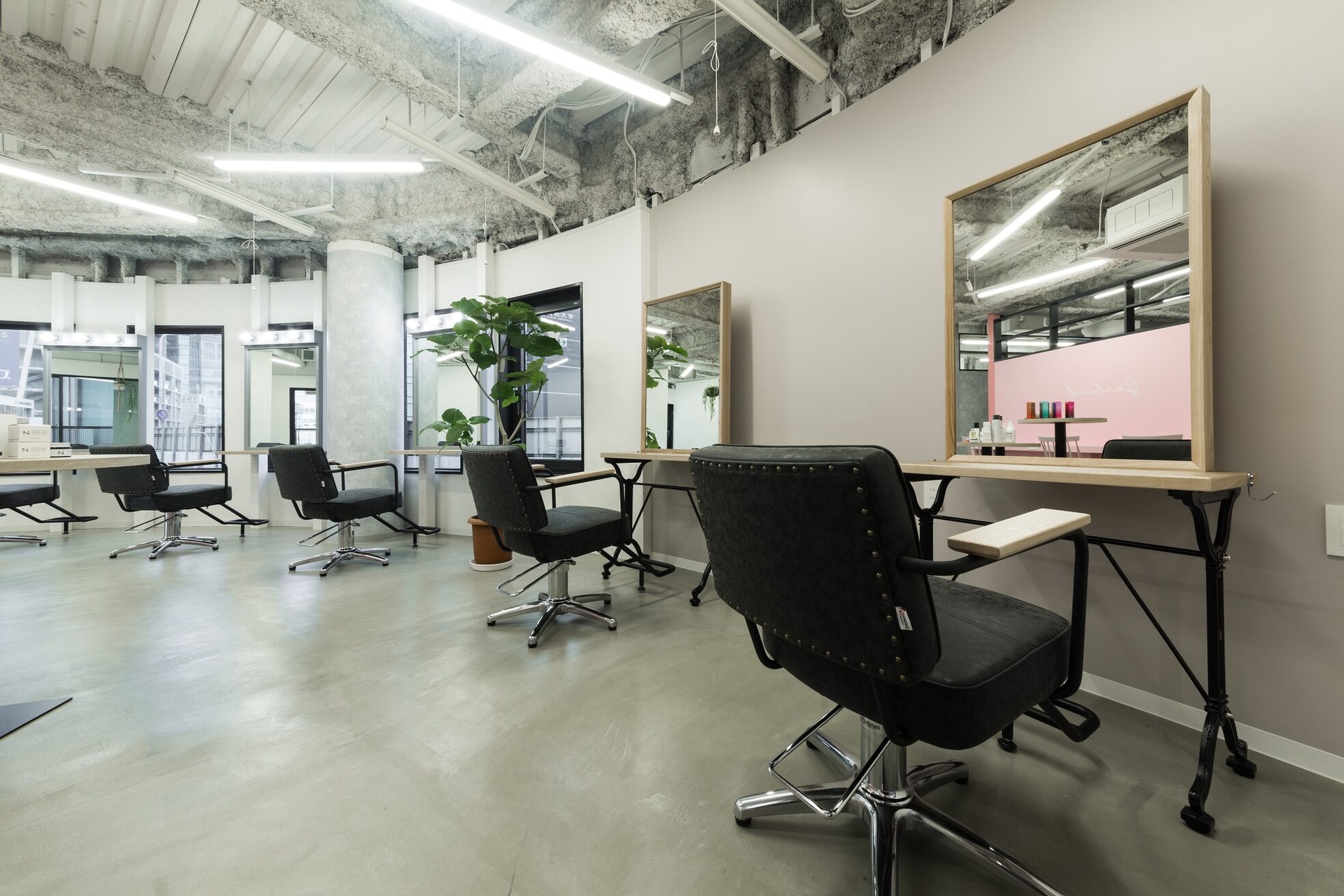 ガーランドウメダ(Garland umeda)2