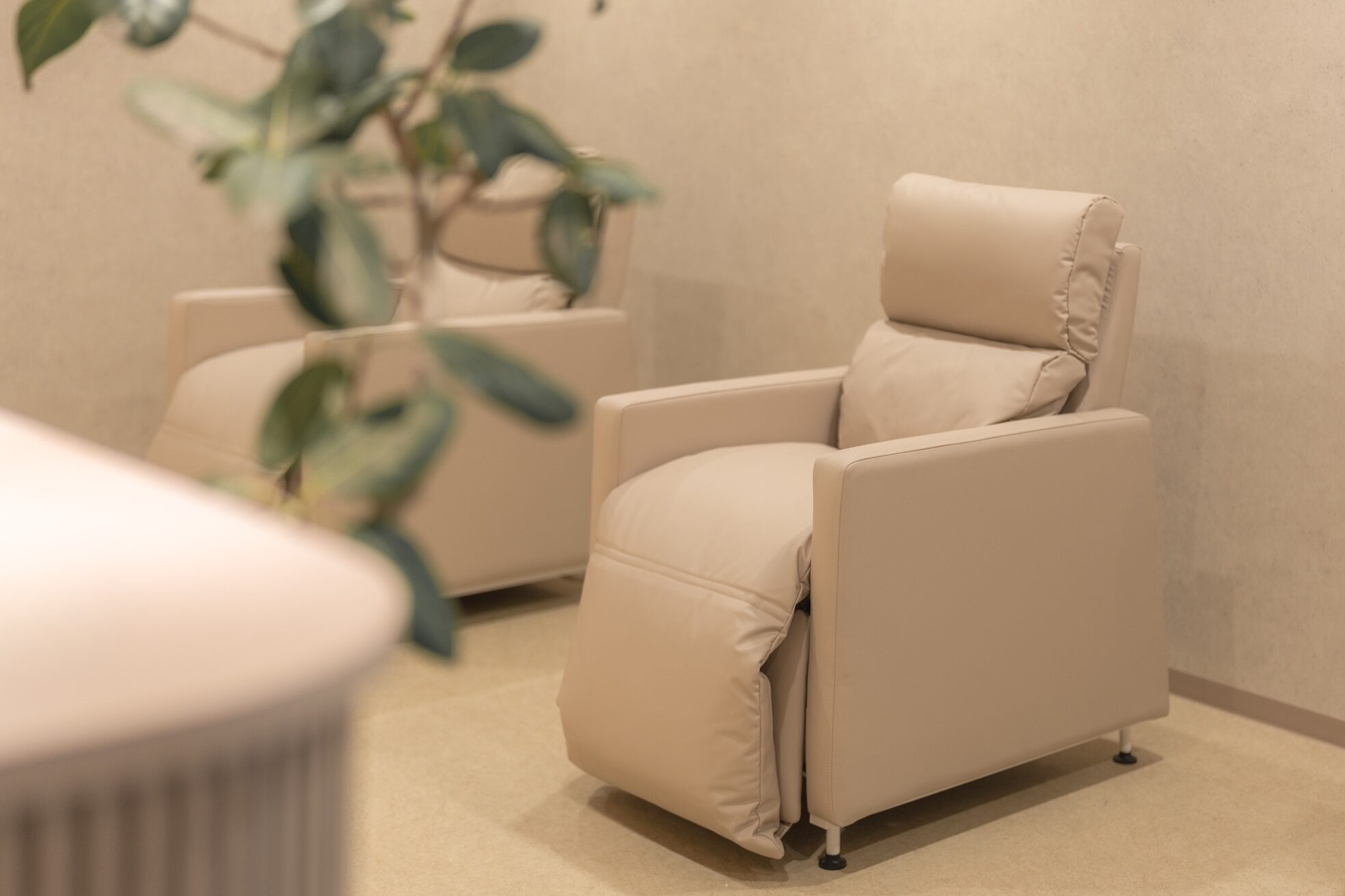 メメ(MEME)3