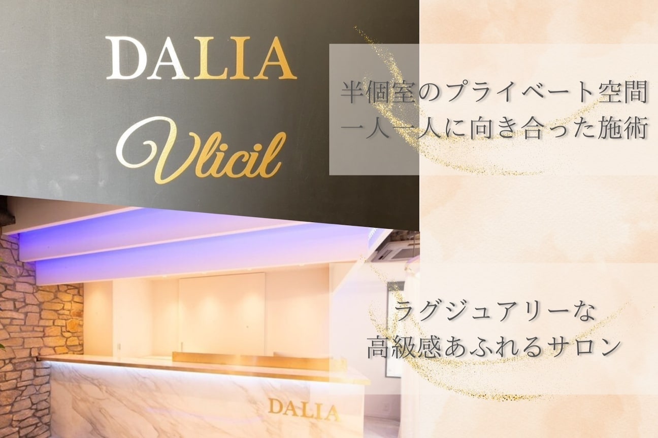 ダリア 横浜(DALIA)2