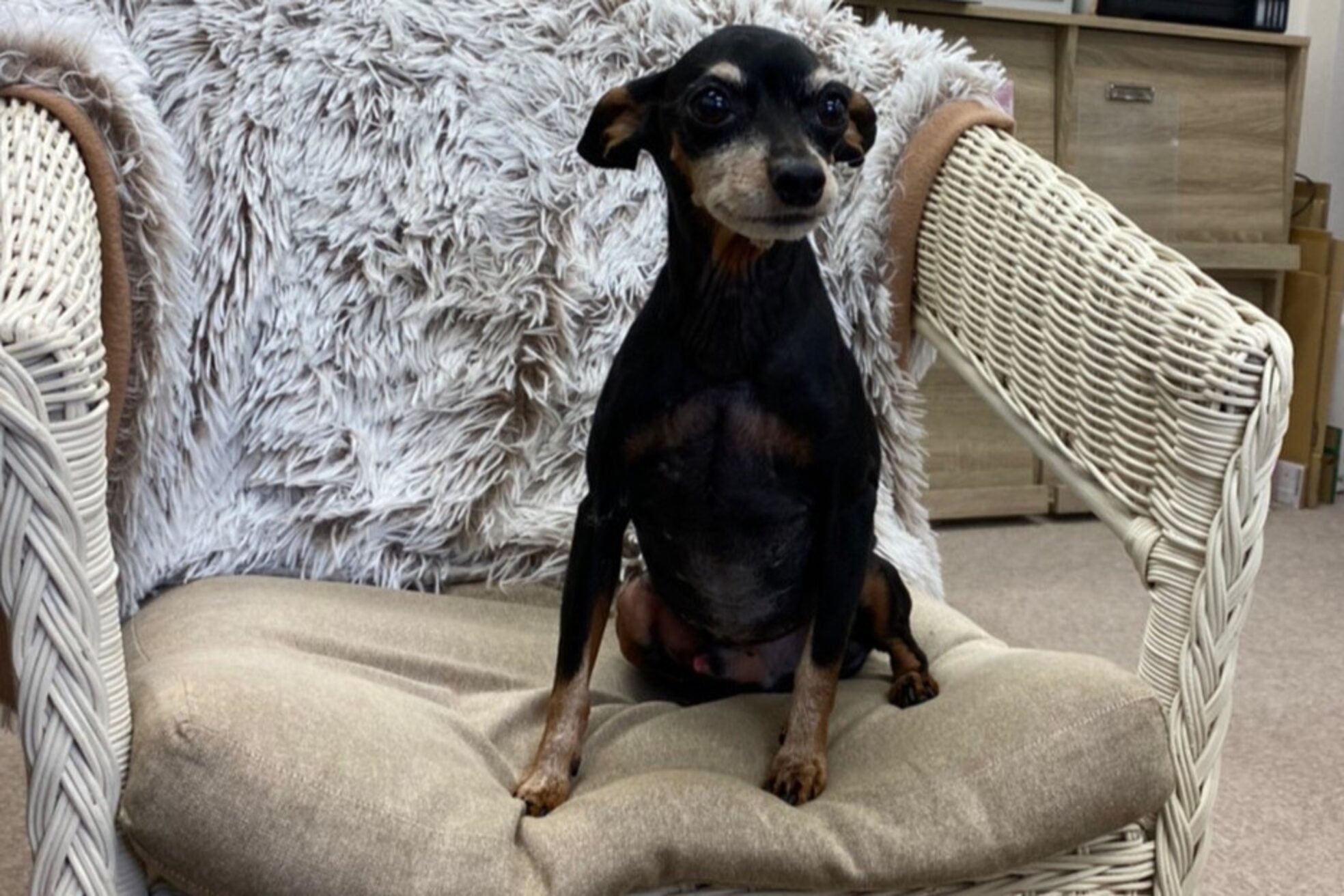 ネイルクローネ(nail crone)8