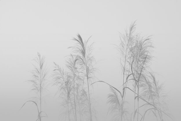 サロンイーエフ 渋谷店(salon EF)5