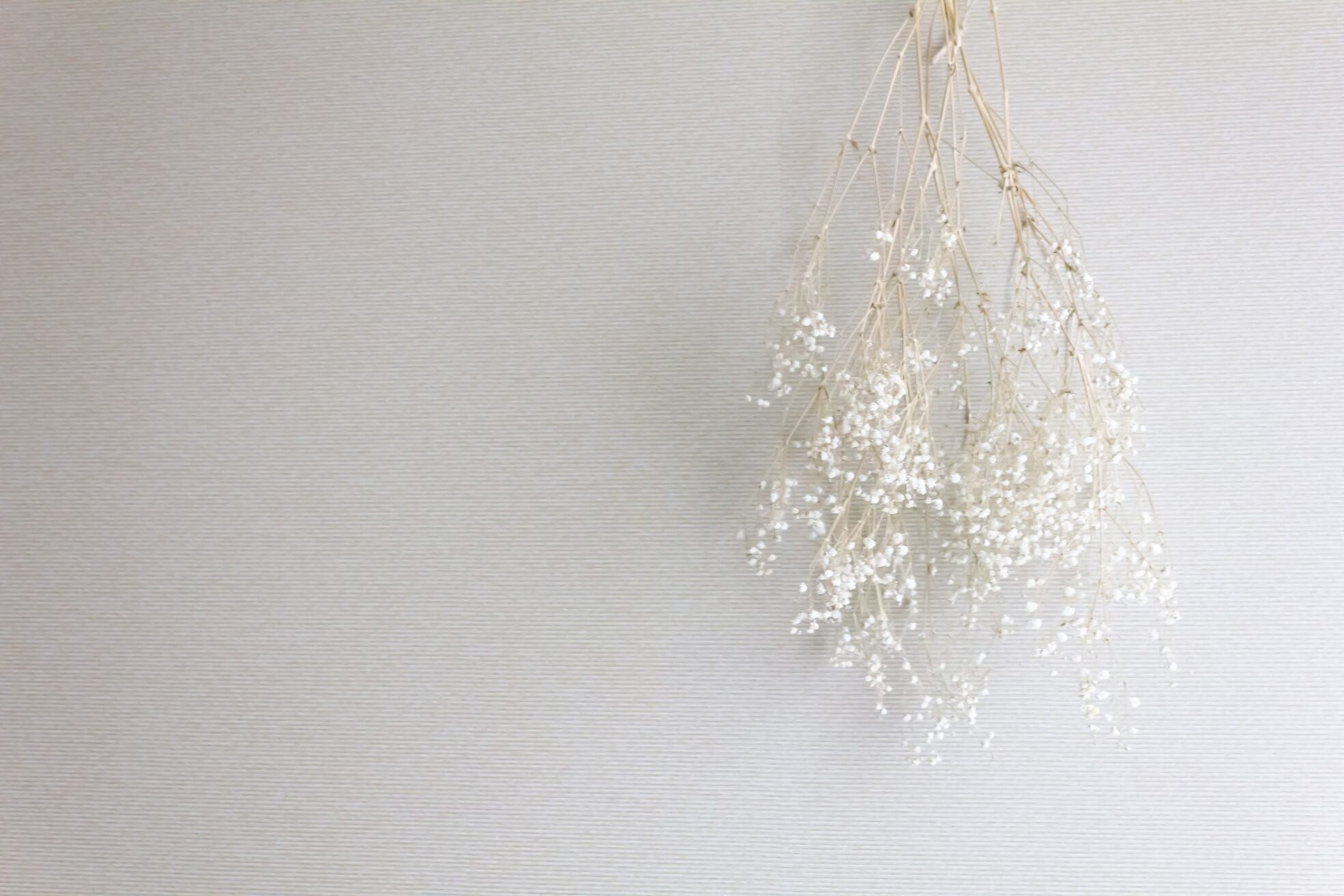 サロンイーエフ 名駅店(salon EF)13