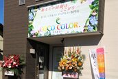 ココカラー(COCO COLOR)