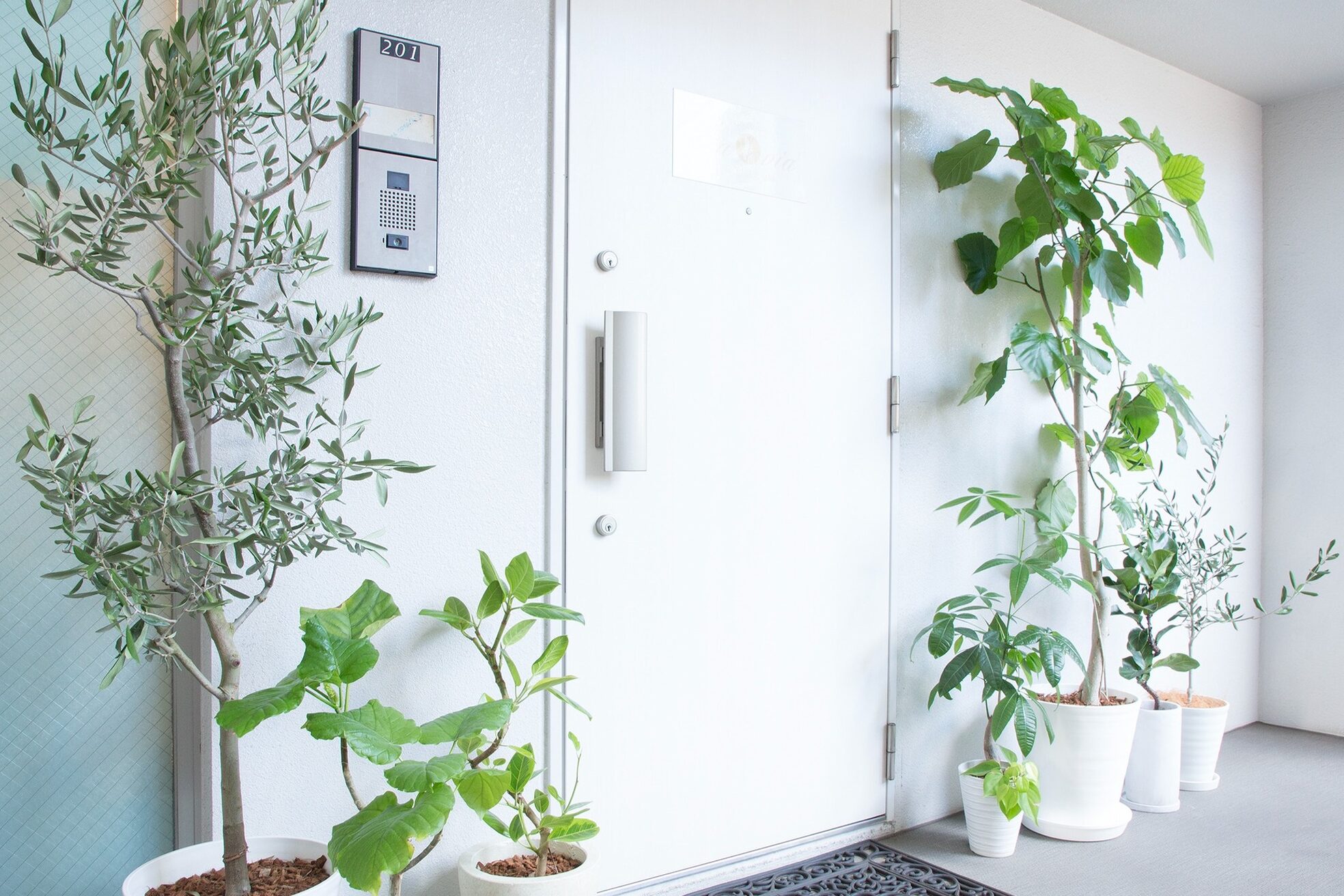 エンビロンサロン エイジングルーム ラヴィーア(Lavia)2