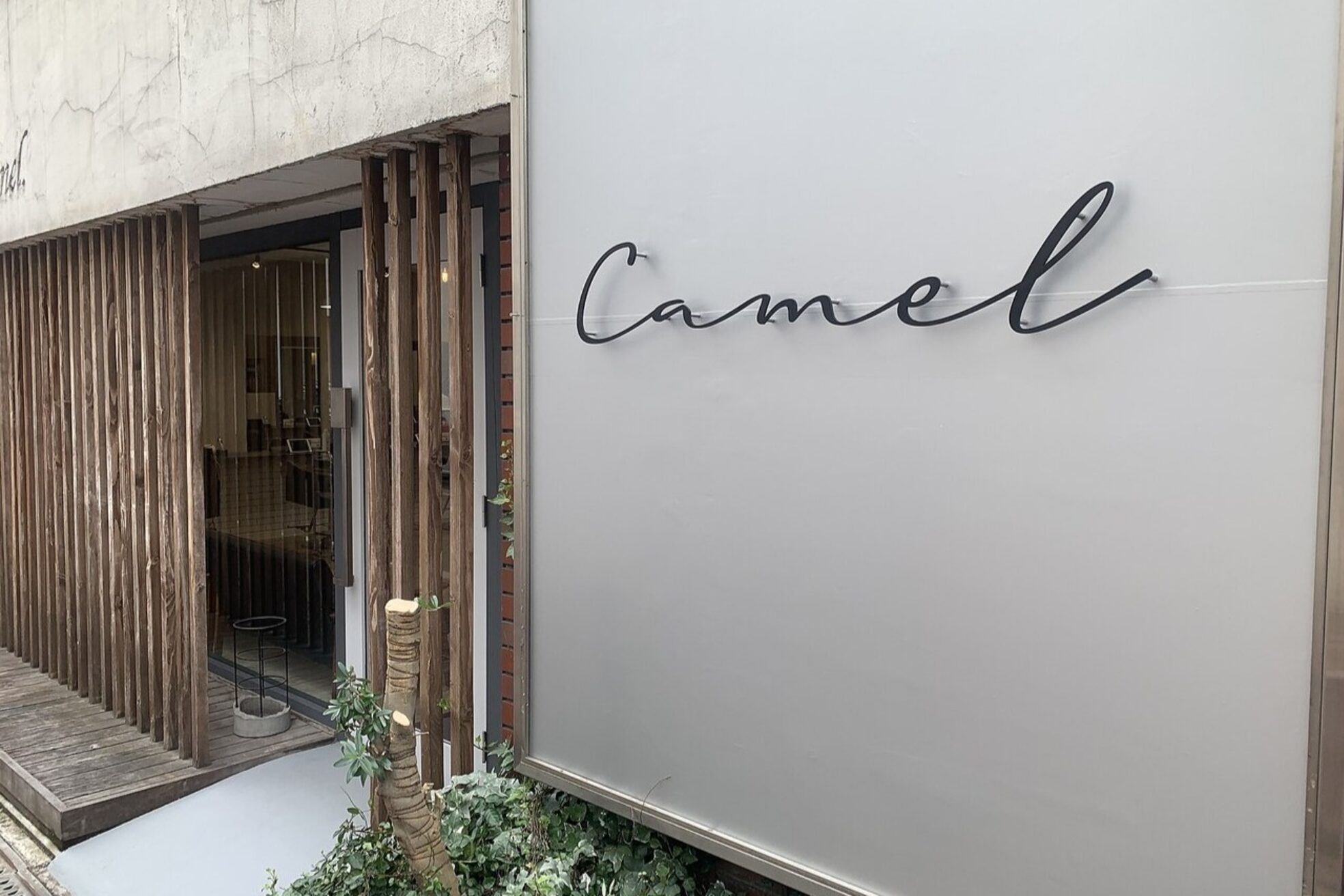 キャメル(Camel)2