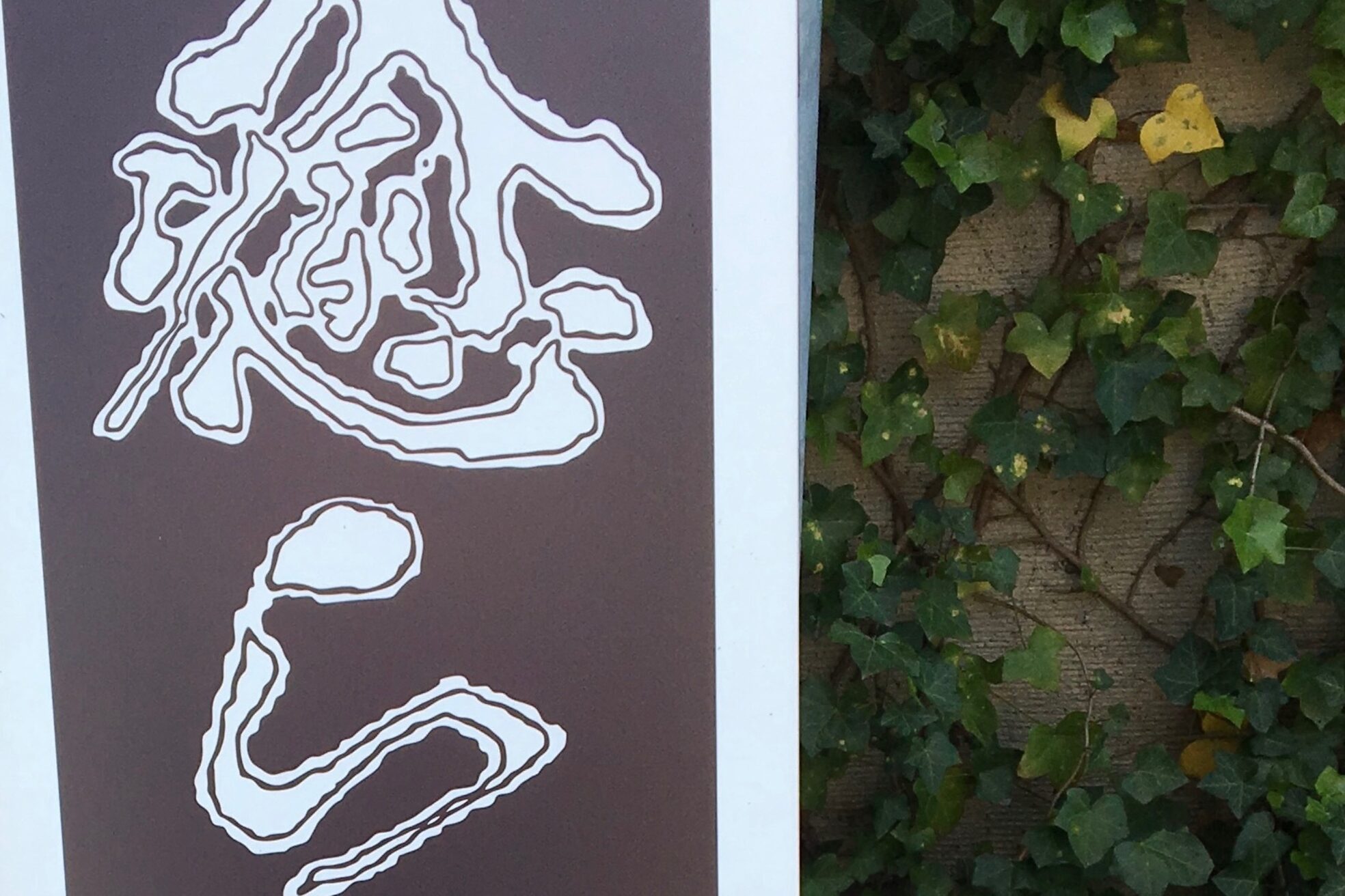 癒ら(ゆら)2