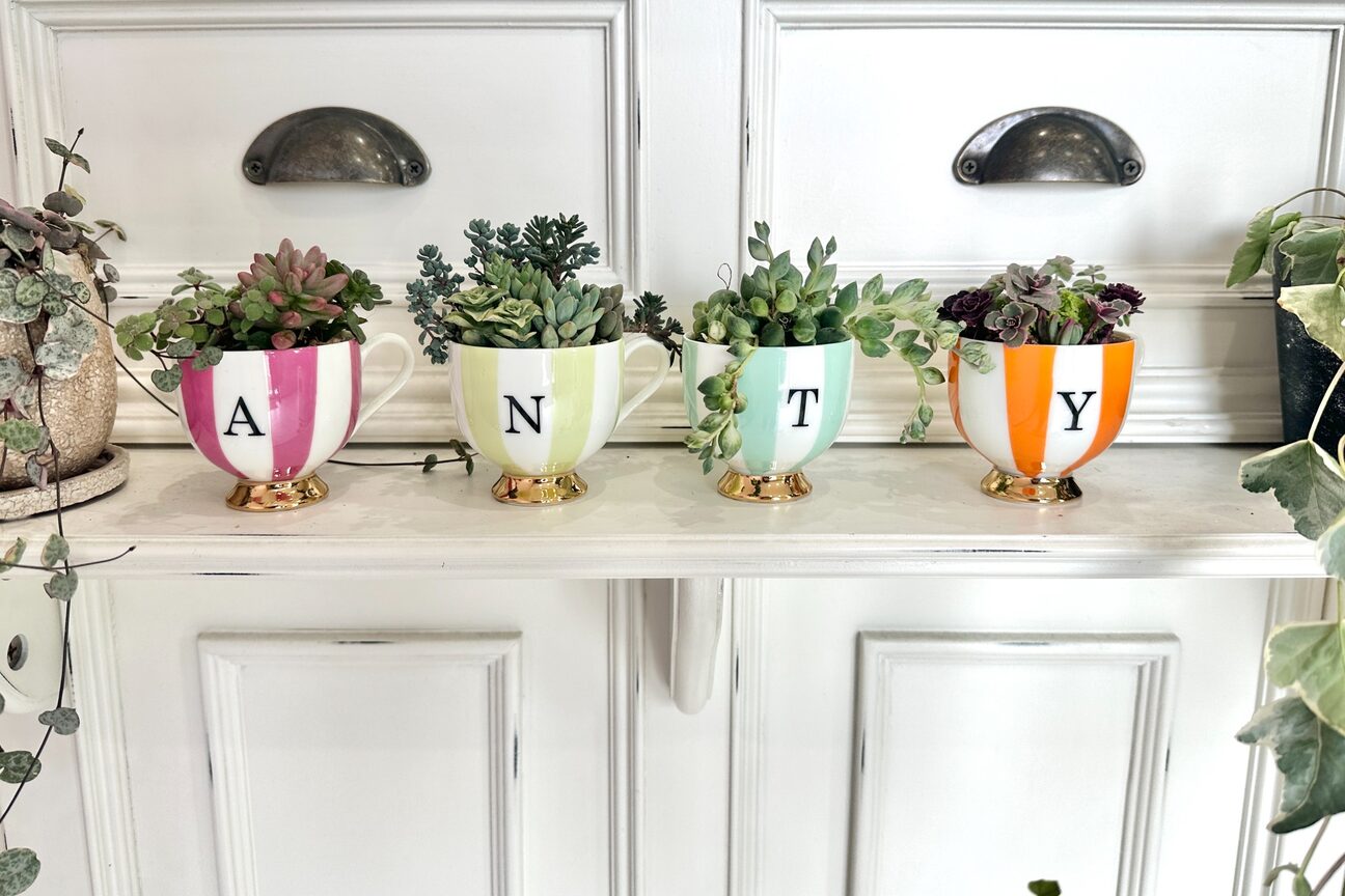 エイルヘアーアンティ(EIL hair Anty)3