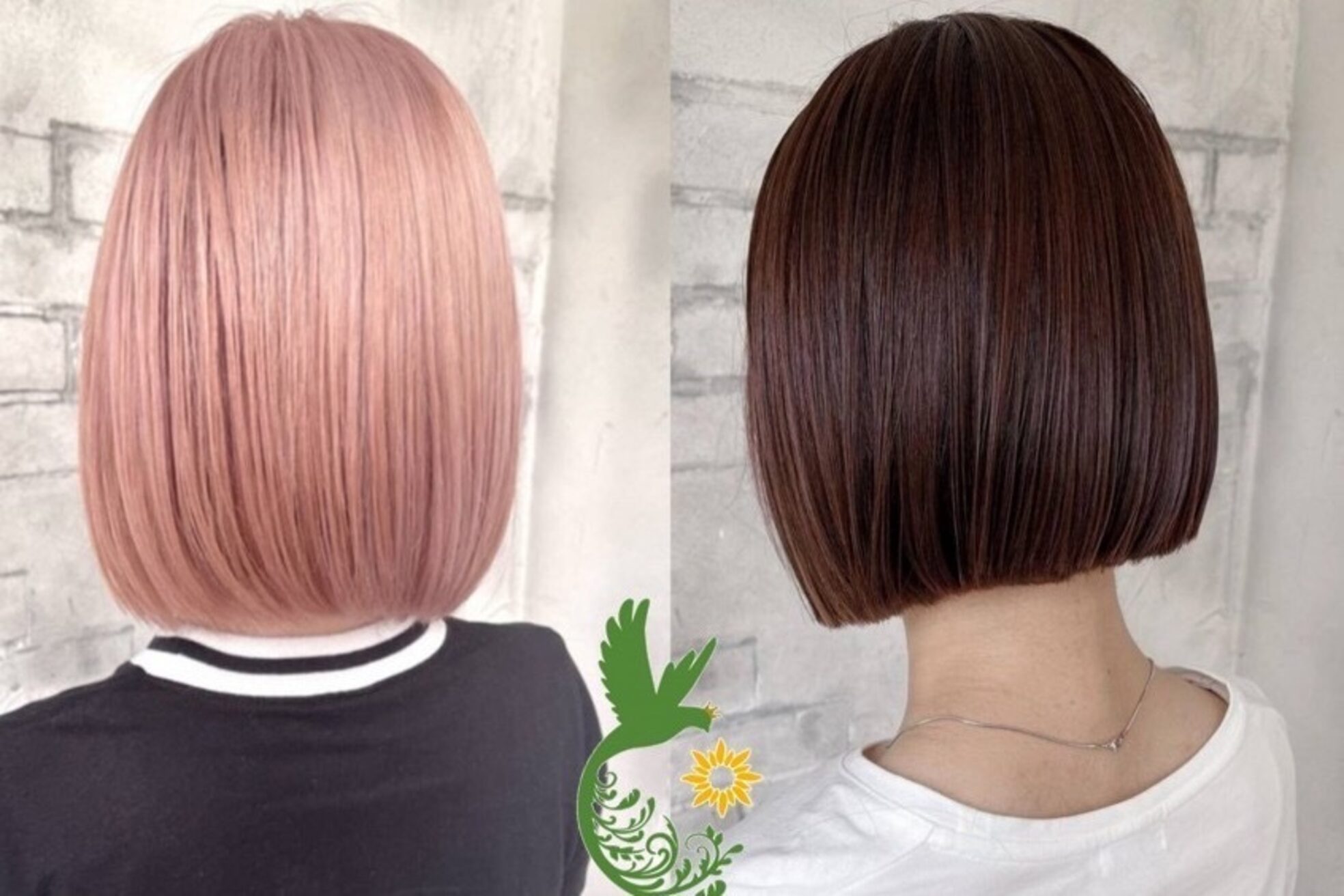 プーラヴィーダ(Pura Vida)6