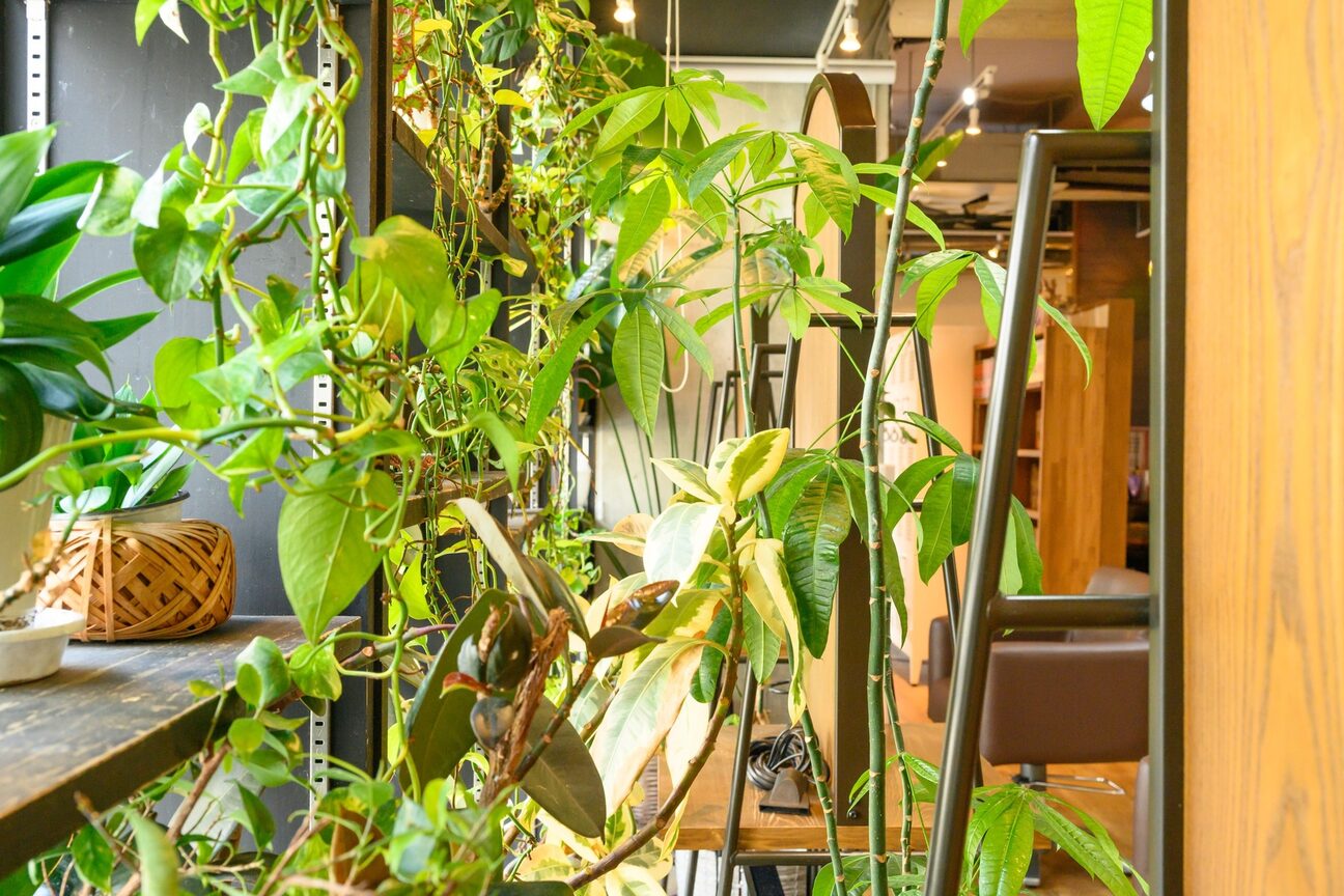 店舗の雰囲気外観用画像3