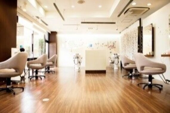 アメリカン ヘアー(American hair)