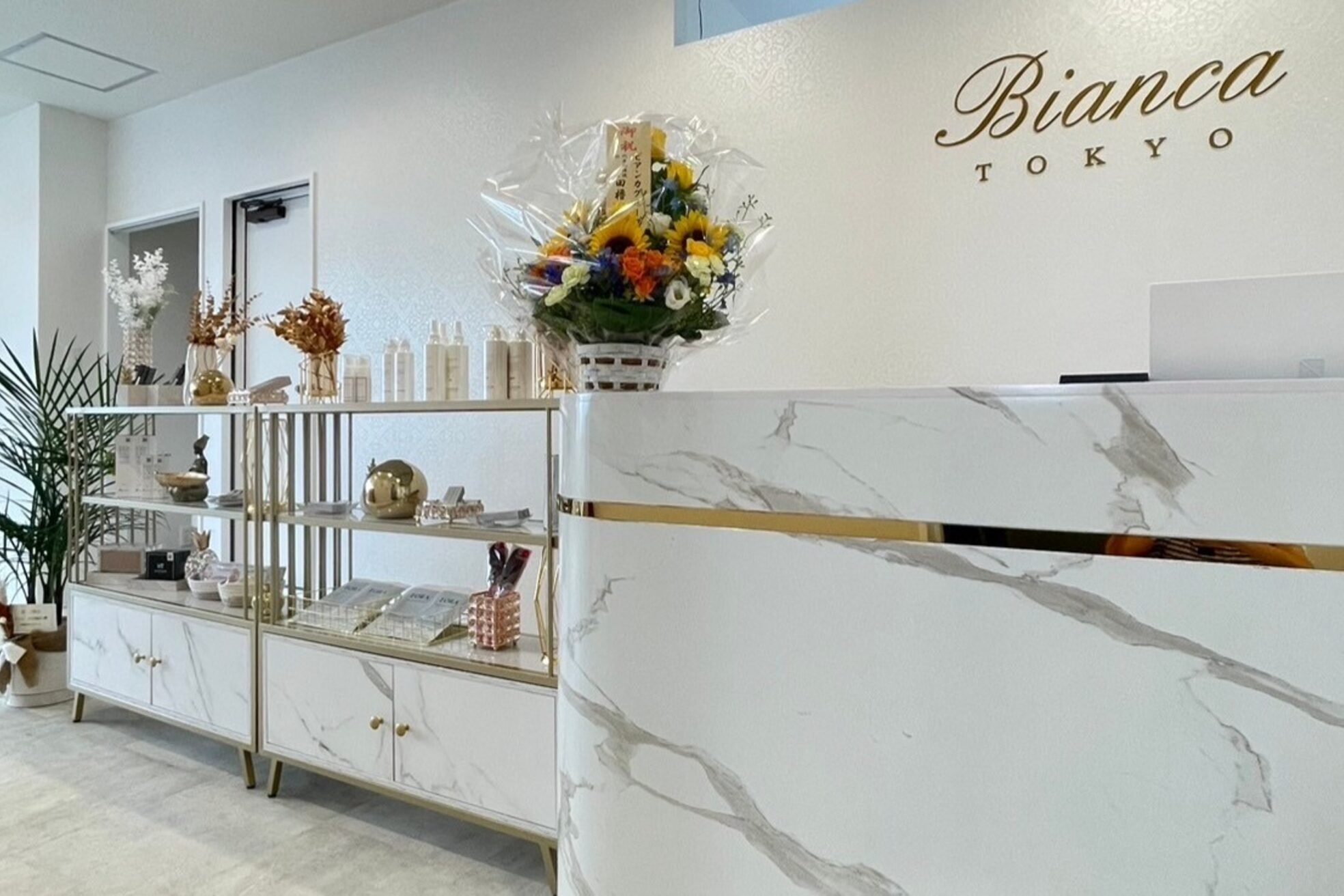 ビアンカ 中洲上川端店(Bianca)1