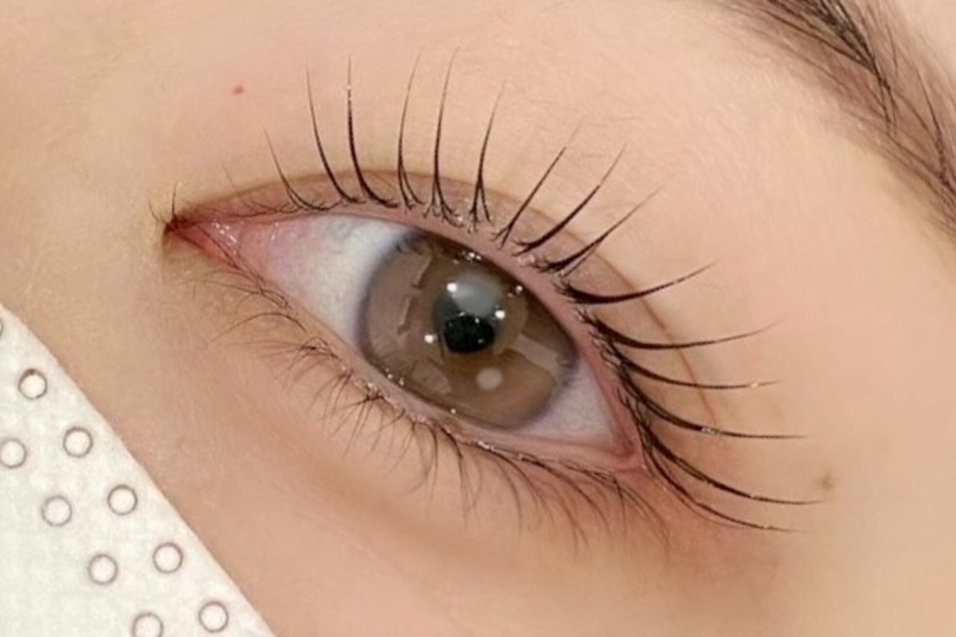 シピ 水戸店(Chipie)4