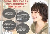 ディンプル(DIMPLE)