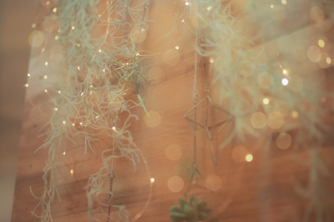 店舗の内観外観用画像2