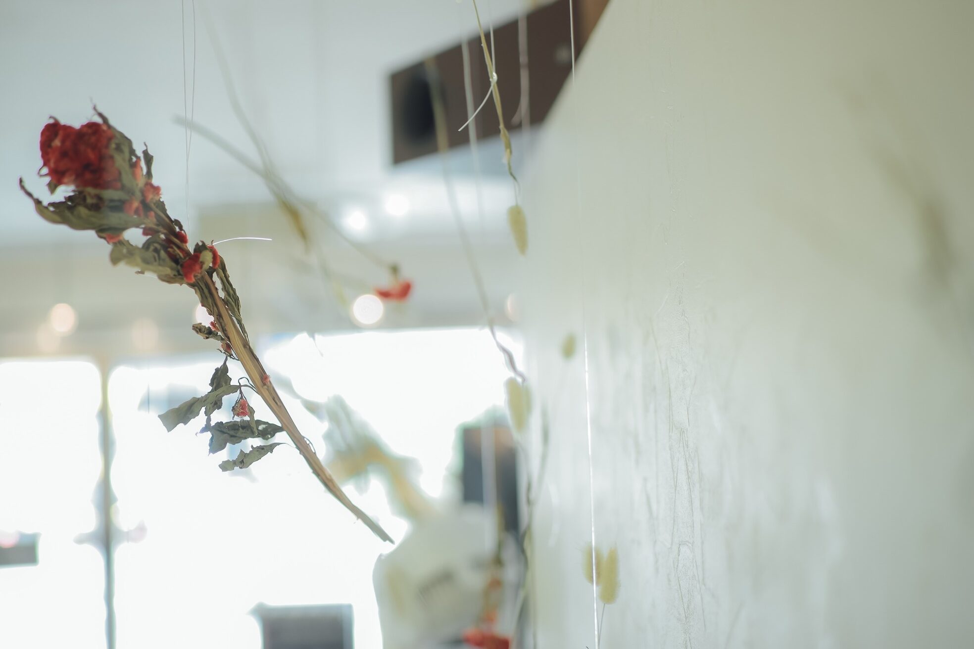 ディンプル(DIMPLE)7