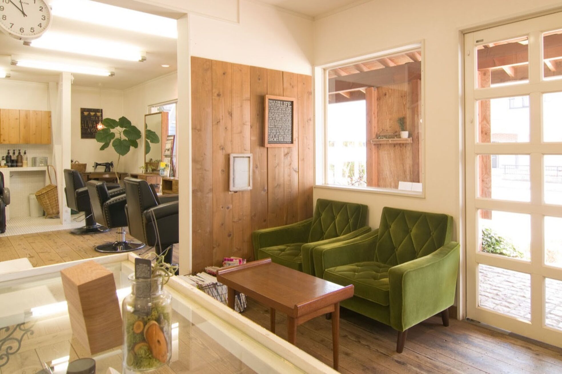 オリーブ(olive)5