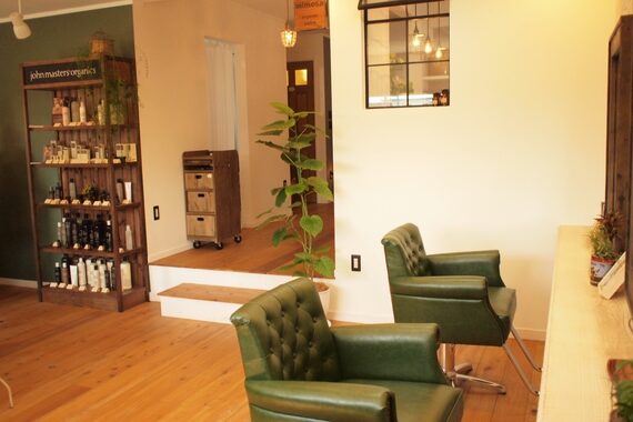 オリーブ モア(olive moa)