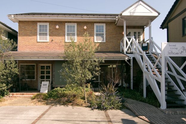 オリーブ(olive)2