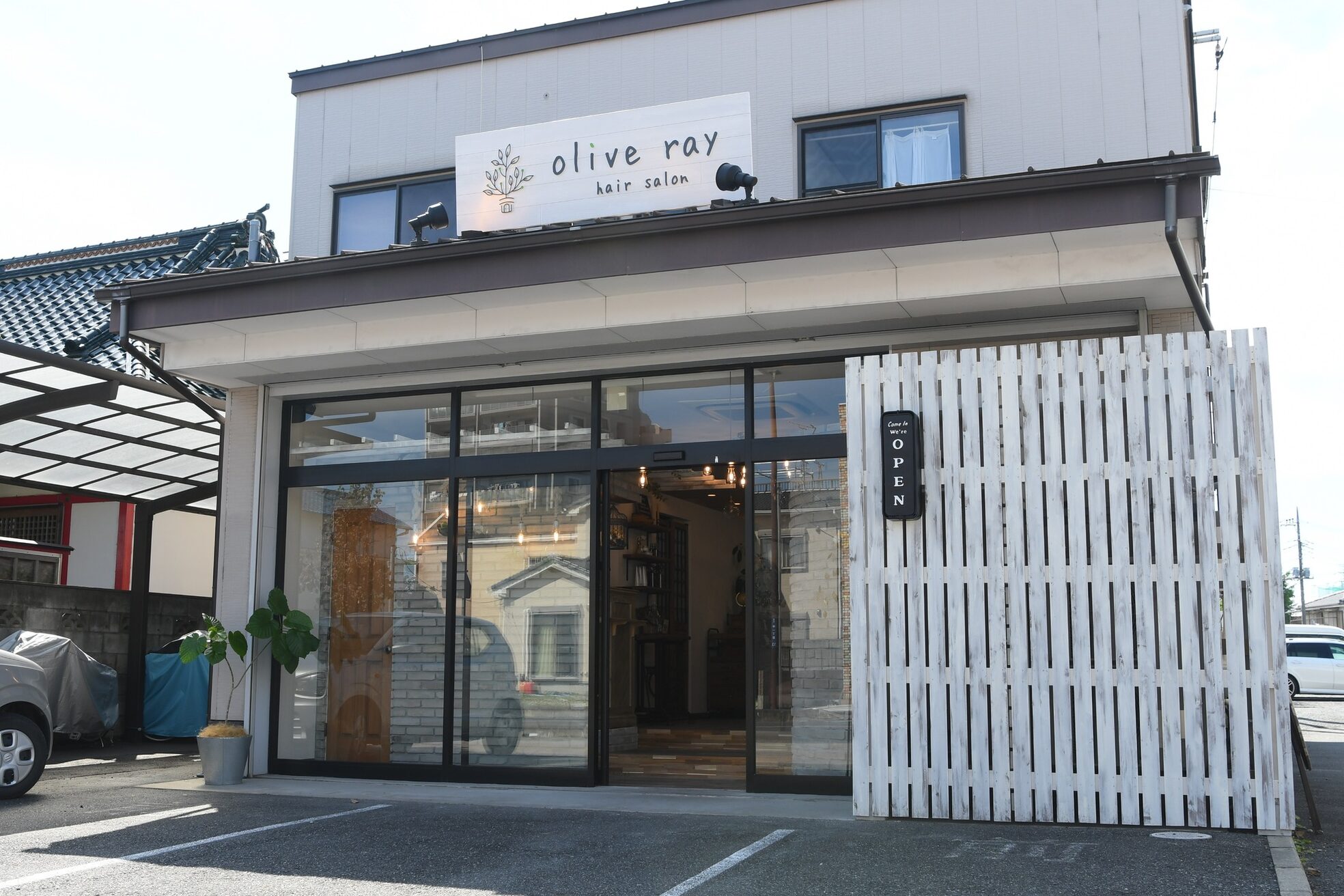 オリーブレイ(olive ray)3