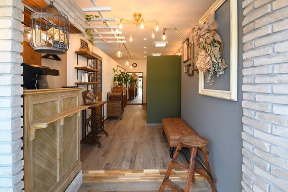 オリーブレイ(olive ray)