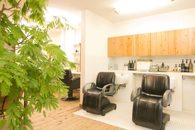 オリーブ(olive)4