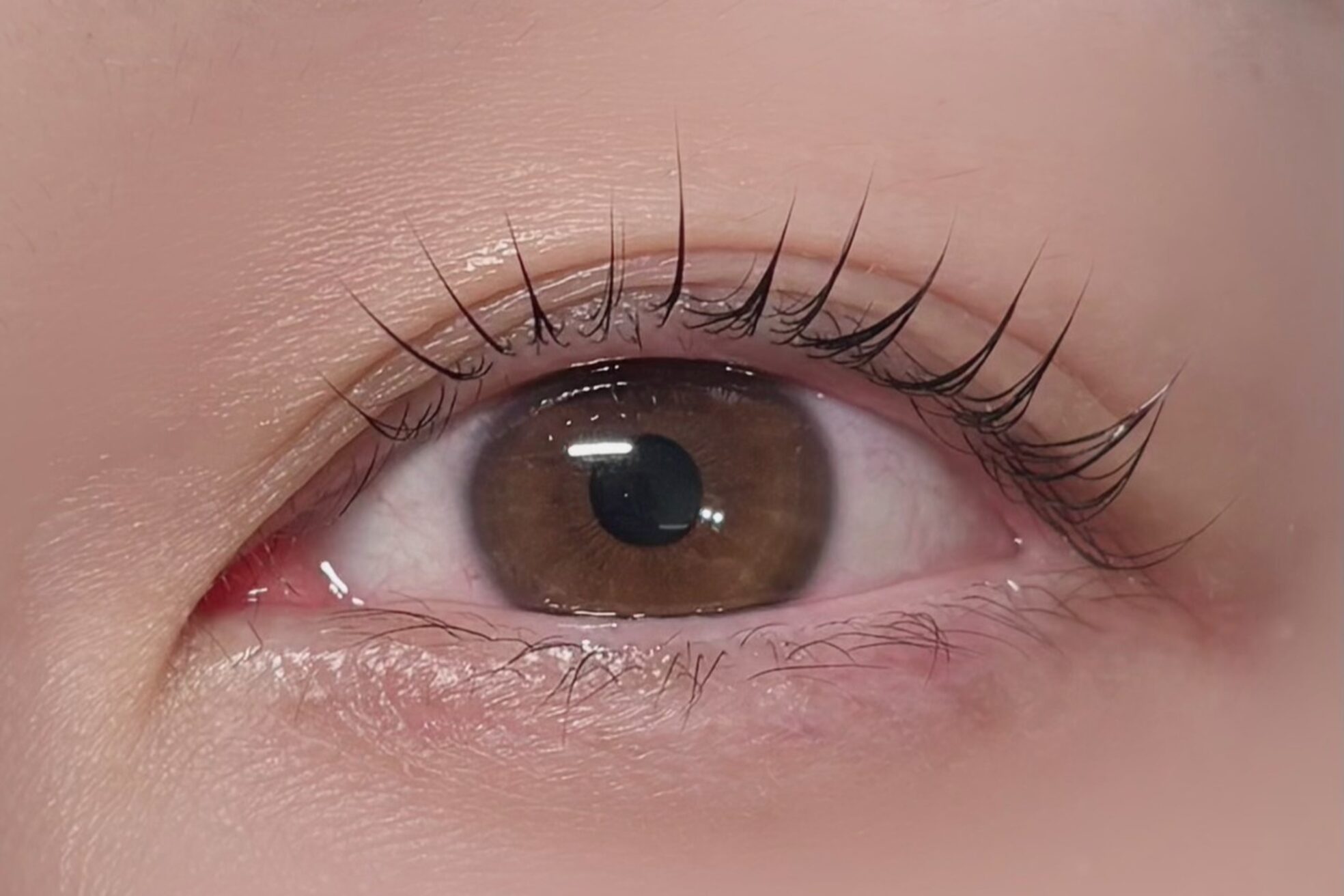 ジャスミン(jasmine)3