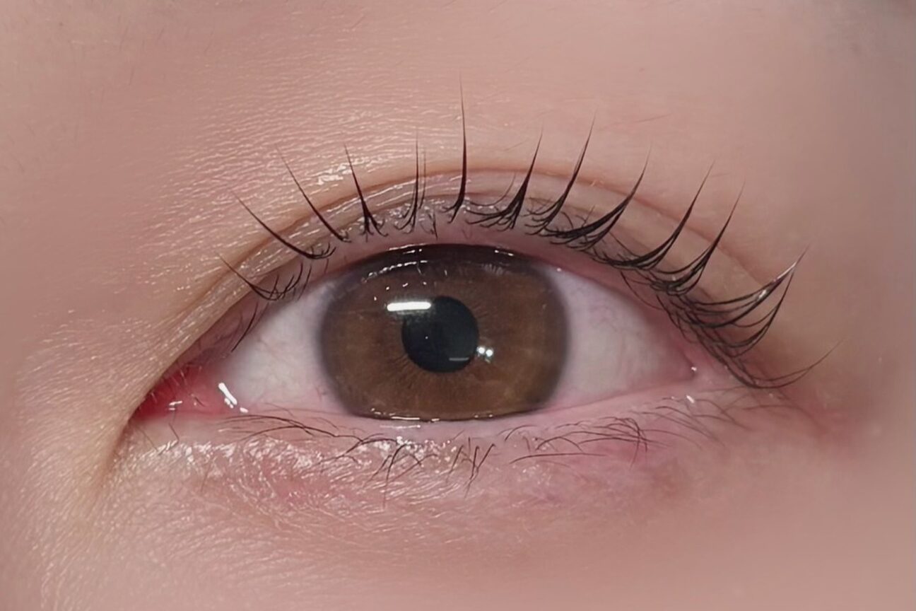 ジャスミン(jasmine)3