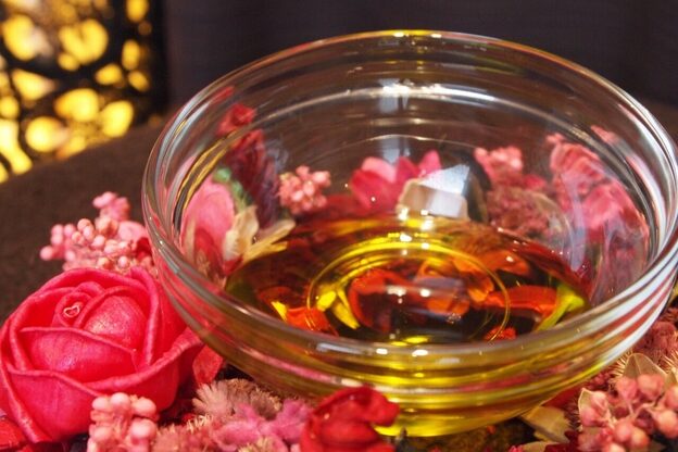 プレジール(Plaisir)6